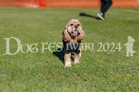 DFI2024-02293.jpg