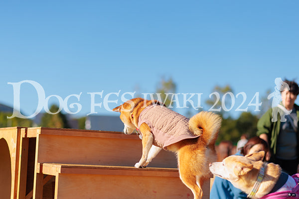 DFI2024-02300.jpg
