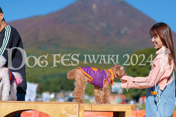 DFI2024-02309.jpg