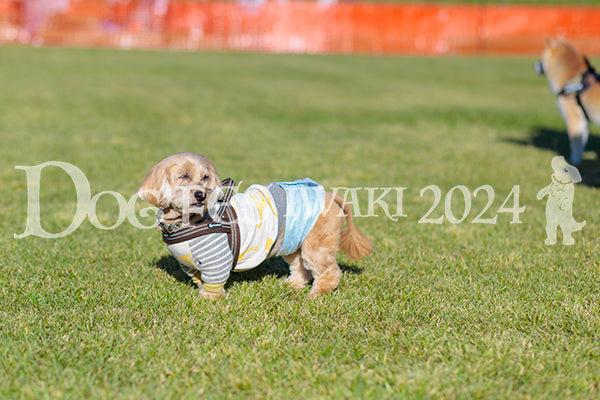 DFI2024-02313.jpg
