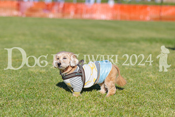 DFI2024-02314.jpg