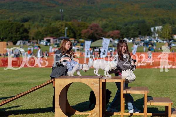 DFI2024-02320.jpg