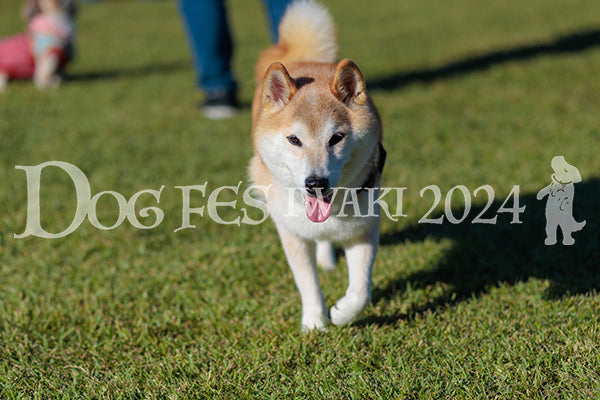 DFI2024-02324.jpg