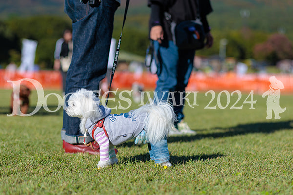 DFI2024-02327.jpg