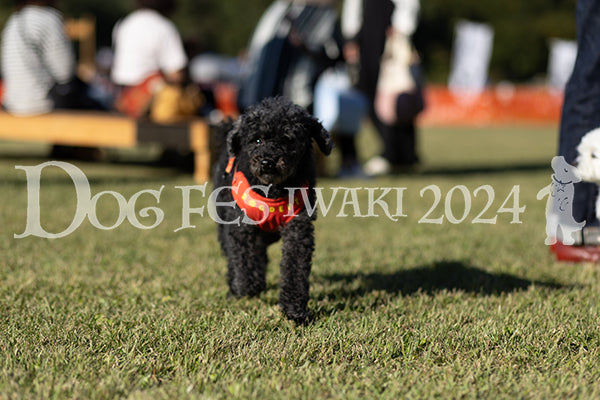 DFI2024-02330.jpg