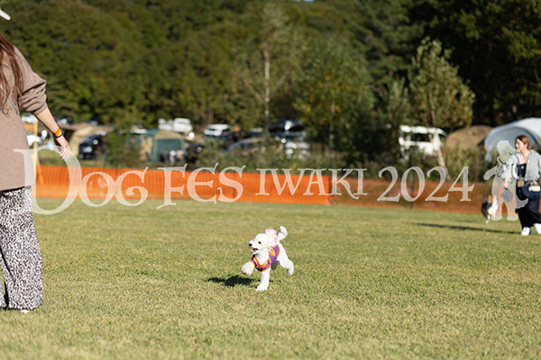 DFI2024-02332.jpg