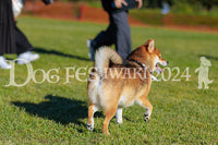 DFI2024-02333.jpg