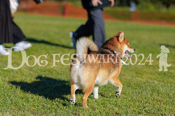 DFI2024-02333.jpg