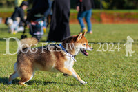 DFI2024-02334.jpg