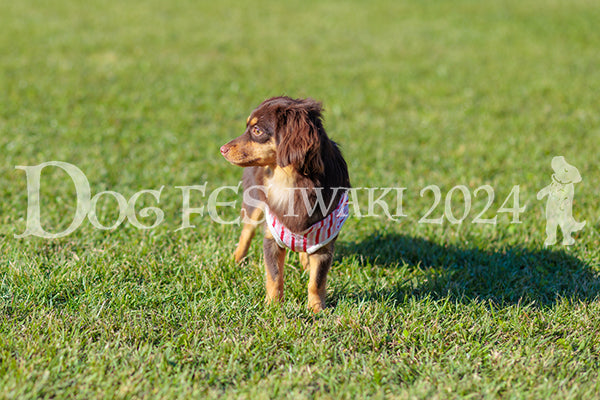 DFI2024-02339.jpg