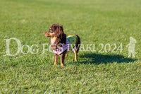 DFI2024-02341.jpg