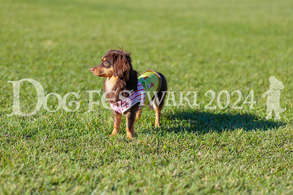 DFI2024-02341.jpg