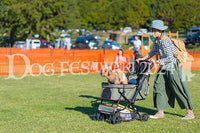 DFI2024-02345.jpg