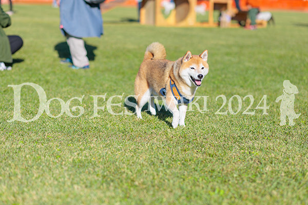 DFI2024-02353.jpg