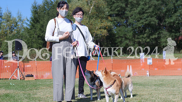 DFI2024-02399.jpg
