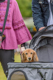DFI2025-00995