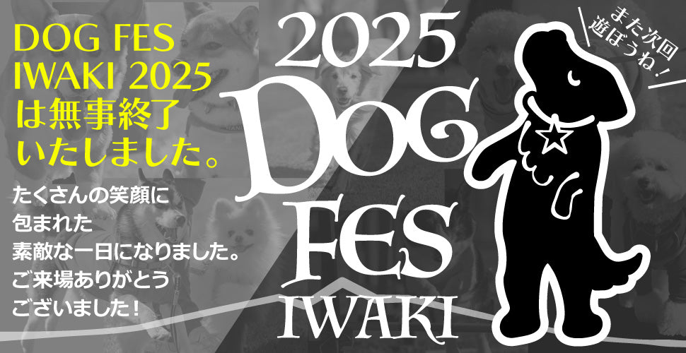 DOG FES IWAKI