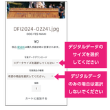 DFI2025-01159
