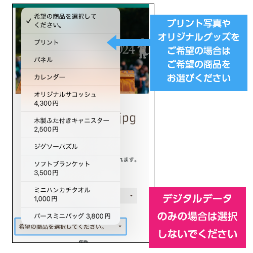 DFI2025-00712 – DOG FES IWAKI