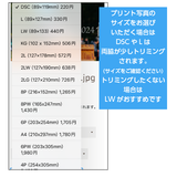 DFI2025-01283