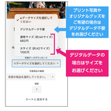 DFI2025-01761