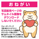 DFI2025-00969