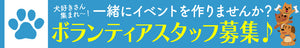 DOG FES IWAKI