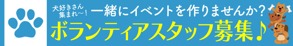 DOG FES IWAKI