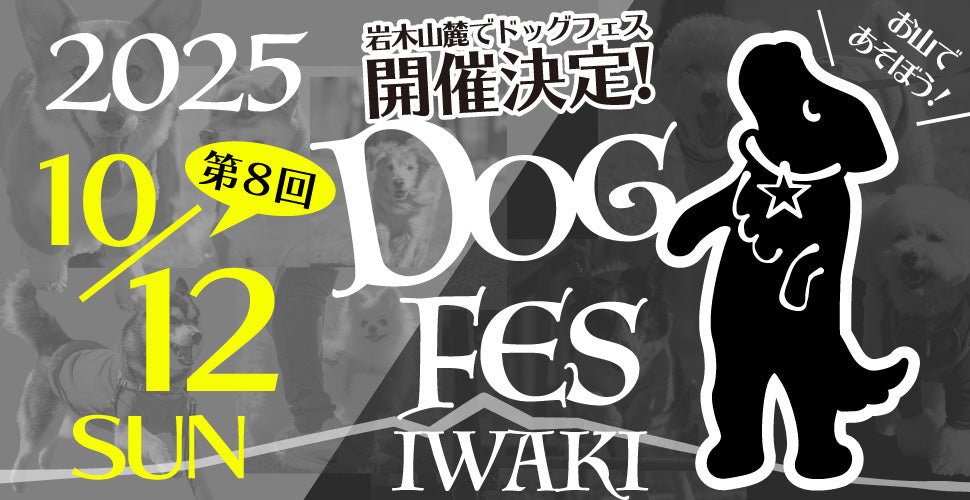 DOG FES IWAKI