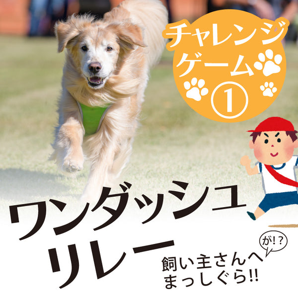 DOG FES IWAKI 2025 チャレンジゲーム①【ワンダッシュリレー】予約