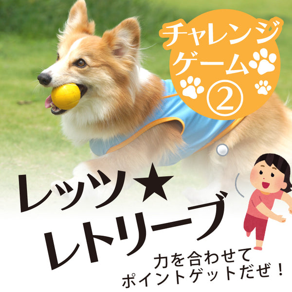 DOG FES IWAKI 2025 チャレンジゲーム②【レッツ★レトリーブ】予約
