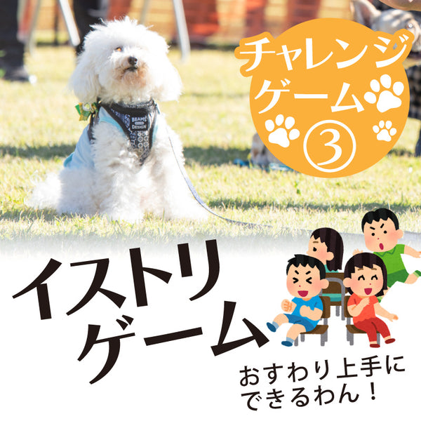 DOG FES IWAKI 2025 チャレンジゲーム③【イストリゲーム】予約