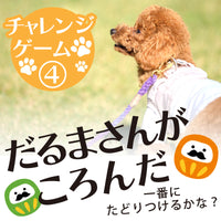 DOG FES IWAKI 2025 チャレンジゲーム④【だるまさんがころんだ】