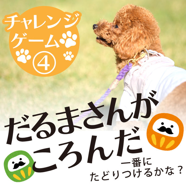 DOG FES IWAKI 2025 チャレンジゲーム④【だるまさんがころんだ】