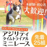 DOG FES IWAKI 2025 チャレンジゲーム【DFIアジリティ・ミニ大会】予約