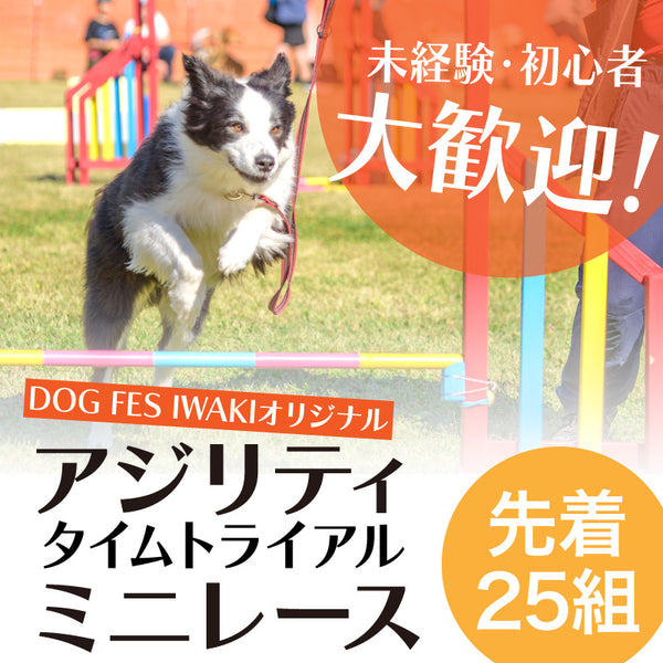 DOG FES IWAKI 2025 チャレンジゲーム【DFIアジリティ・ミニ大会】予約