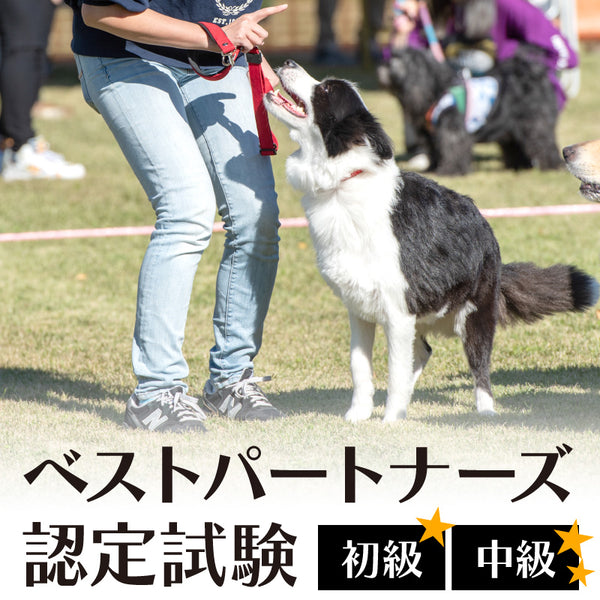 DOG FES IWAKI 2025 【ベストパートナーズ認定試験】《初級》《中級》予約