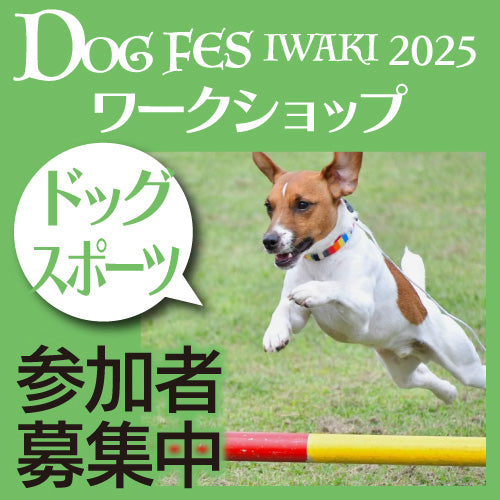 DOG FES IWAKI 2025 ワークショップ【ドッグスポーツ アジリティ】予約