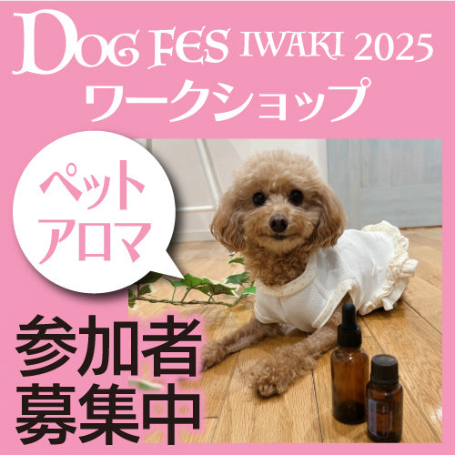 DOG FES IWAKI 2025 ワークショップ【ペットアロマ】予約