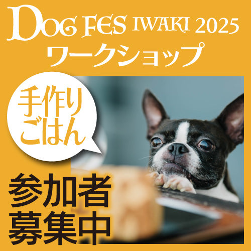 DOG FES IWAKI 2025 ワークショップ【手作りごはん】予約