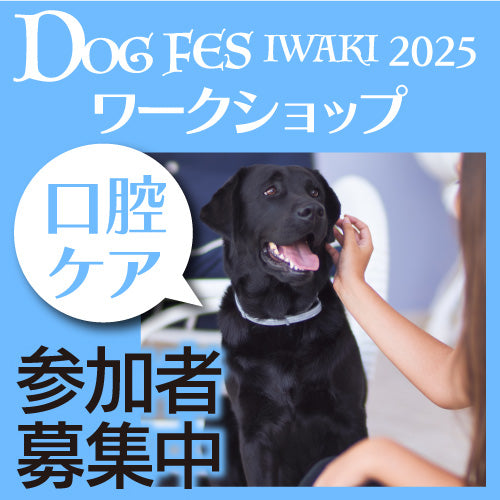 DOG FES IWAKI 2025 ワークショップ【口腔ケアチェック】予約