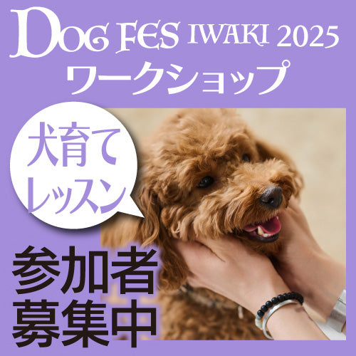 DOG FES IWAKI 2025 ワークショップ【犬育てレッスン】予約