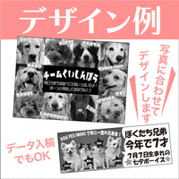 DOG FES IWAKI 2024サポーター・グループ枠