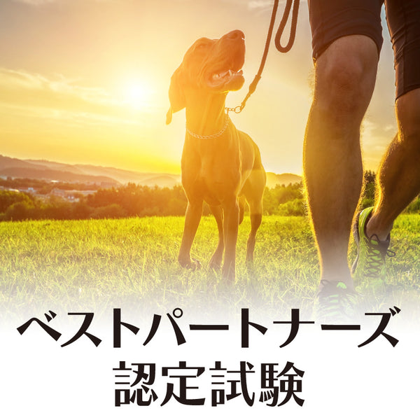 DOG FES IWAKI 2023 【ベストパートナーズ認定試験】予約
