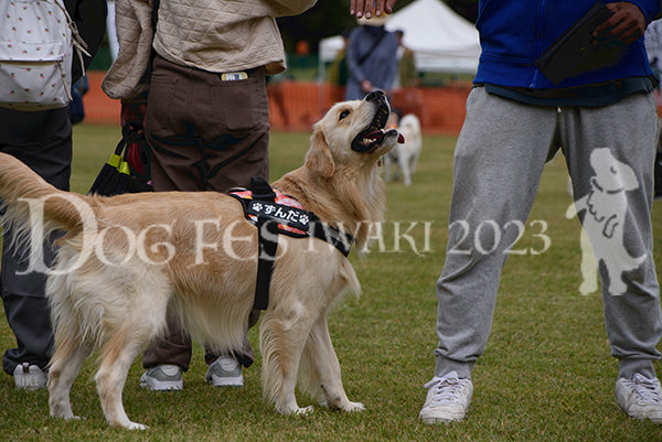 DFI-01141-jpg