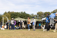DFI-01439-jpg