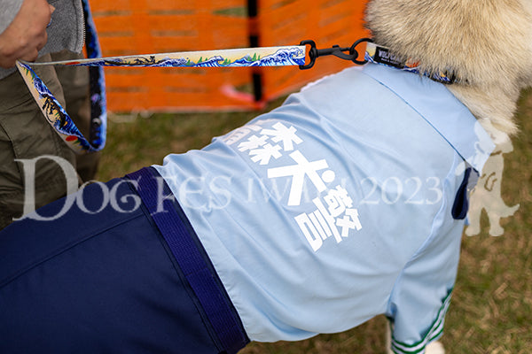 DFI-01499-jpg