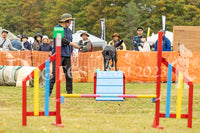 DFI-01671-jpg